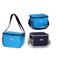 Sac Isotherme 6L
