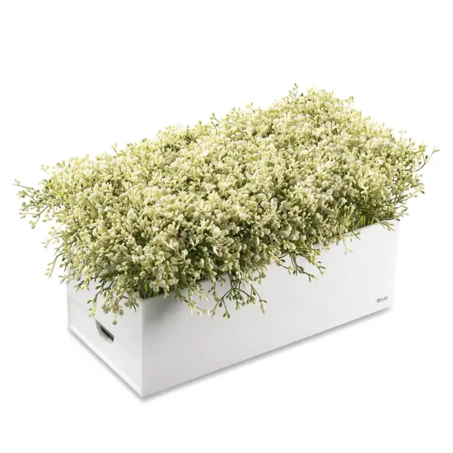 Waterdale Bencher Vase Set - Rectangle Babys Breath