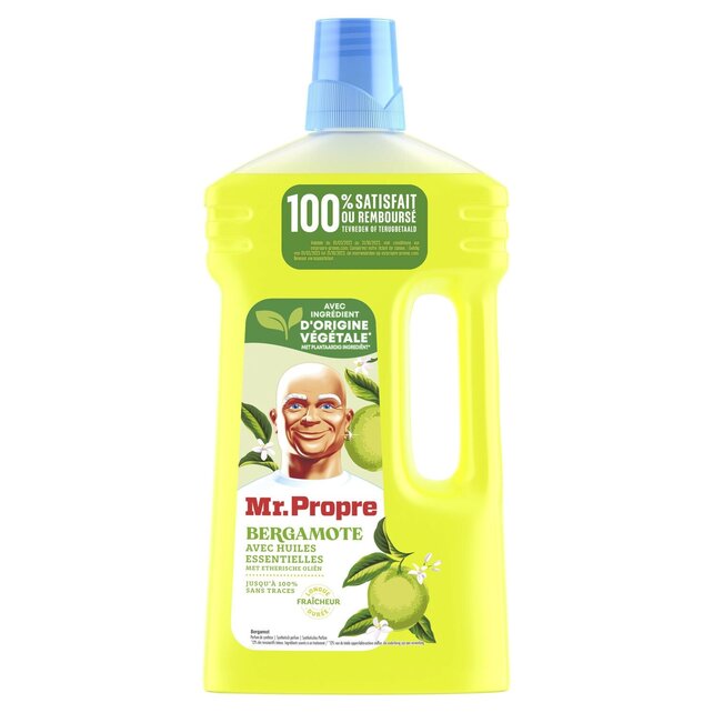 Mr. Proper Allesreiniger 1l