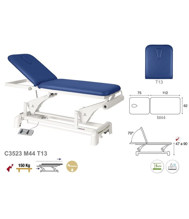 Electric Treatment Table 2-part (C3523)