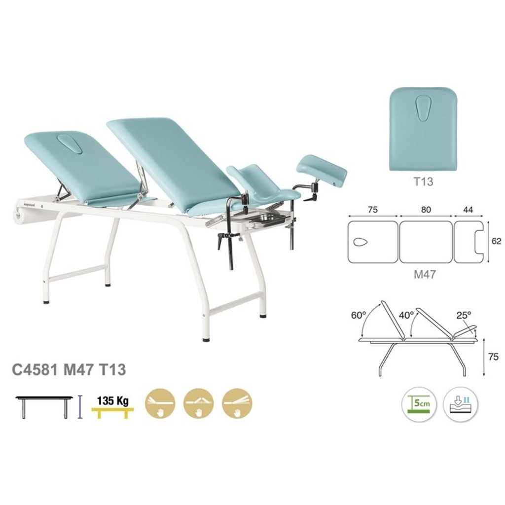 Gynecological treatment table (C4581)
