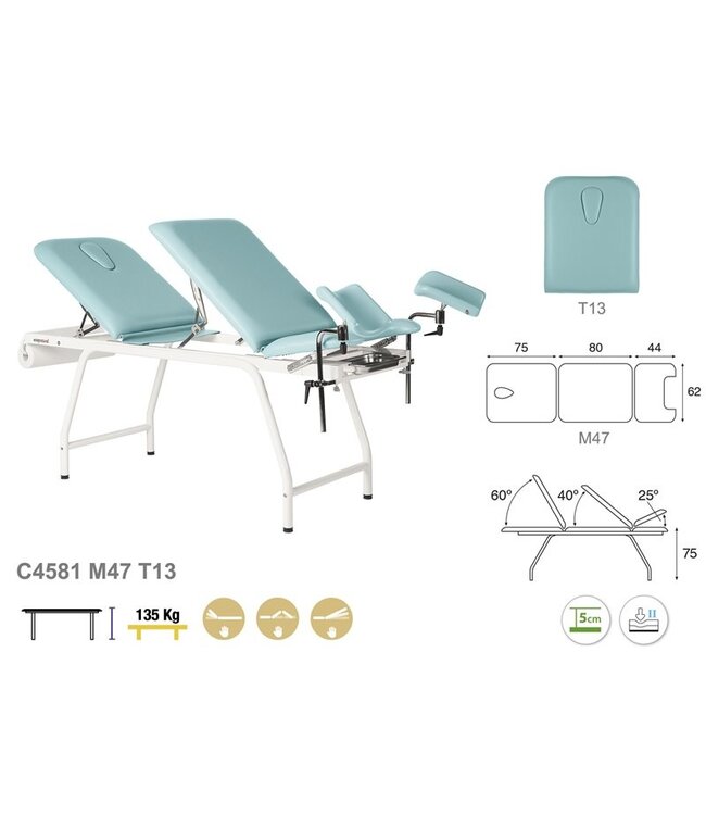 Gynecological treatment table (C4581)