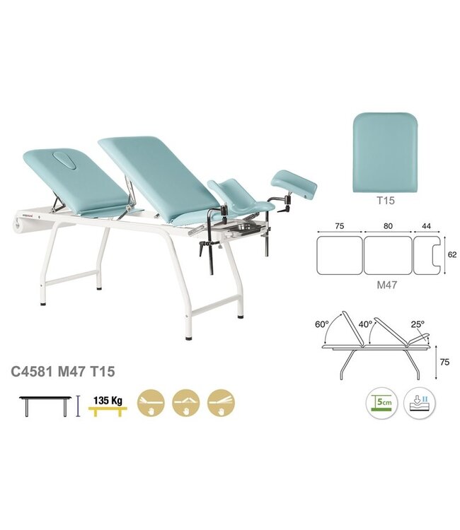 Gynecological treatment table (C4581)