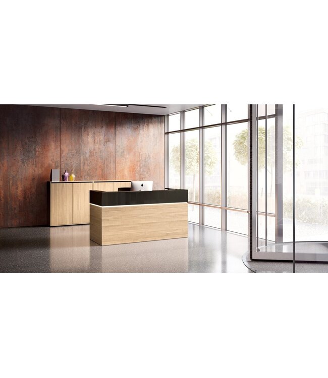 Palmberg CASUS Modern and creative