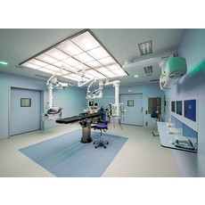 Metaflex Medicare