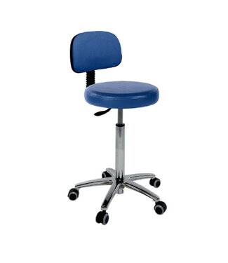 Ecopostural Swivel stool with chrome base and backrest (S3651)
