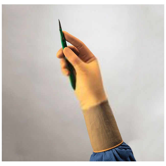 Cardinal Health Protexis™ Latex Micro surgical gloves, sterile