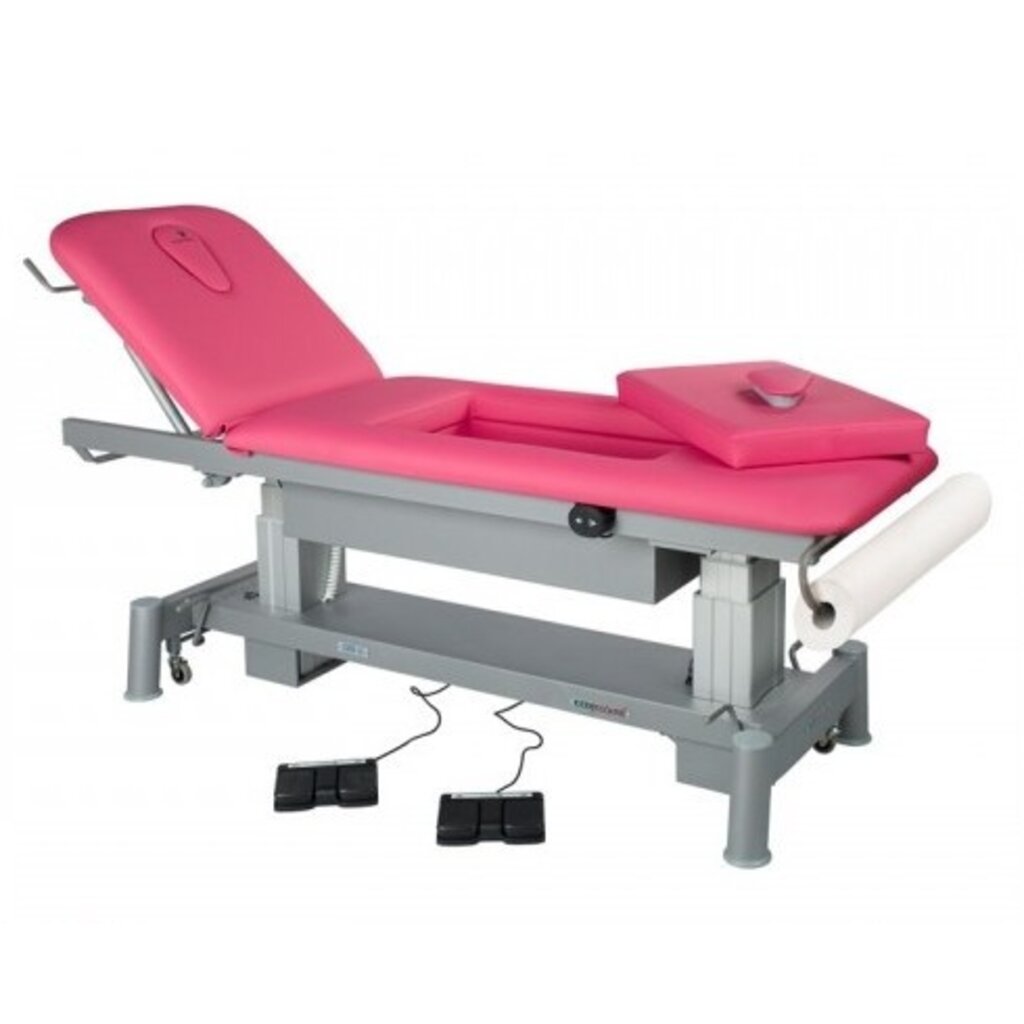 Electric treatment table (C6880)