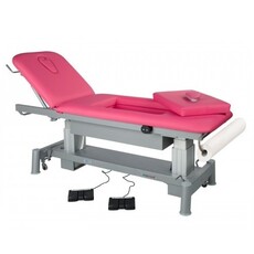 Electric treatment table (C6880)