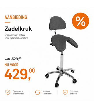 Ecopostural PONY Zadelkruk met Verchroomd Onderstel (S3661) Antraciet Promo
