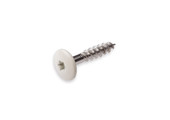 DAK&GEVEL Kleurkopschroef RVS-A2 BEIGE RAL1013 4.8X38 - 50 stuks