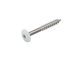 DAK&GEVEL Kleurkopschroef RVS-A2 WIT RAL9010 4.8X38 - 50 stuks