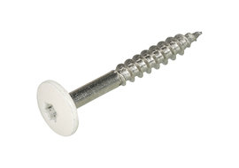 DAK&GEVEL Kleurkopschroef RVS-A2 CRÃˆMEWIT RAL9001 4.8X38 - 50 stuks