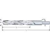 Rotec HSS-G Spiraalboor DIN338 type N  21 mm  1 st.