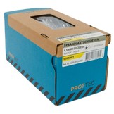 PROFTEC SPAANPLAATSCHR. VZ PK PZ-2 4.5X80/50   (200)