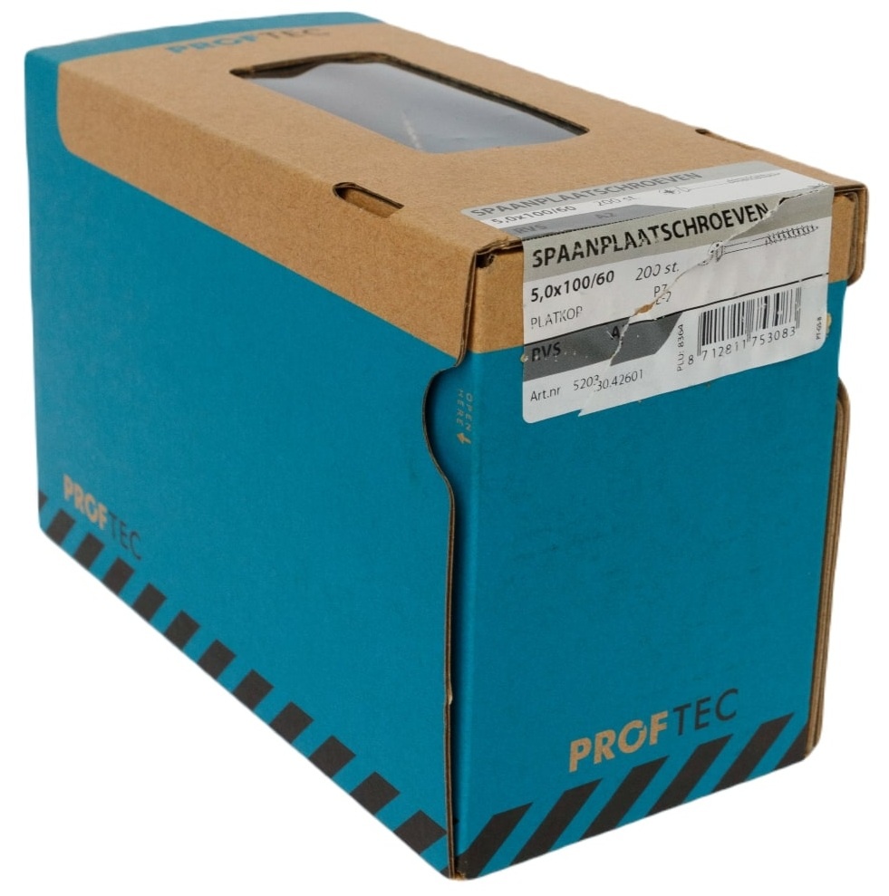 PROFTEC SPAANPLAATSCHR. RVS-A2 PK PZ-2 5.0X100/60   (200)