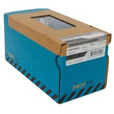 PROFTEC SPAANPLAATSCHR. RVS-A2 PK PZ-3 6.0X100/60   (100)