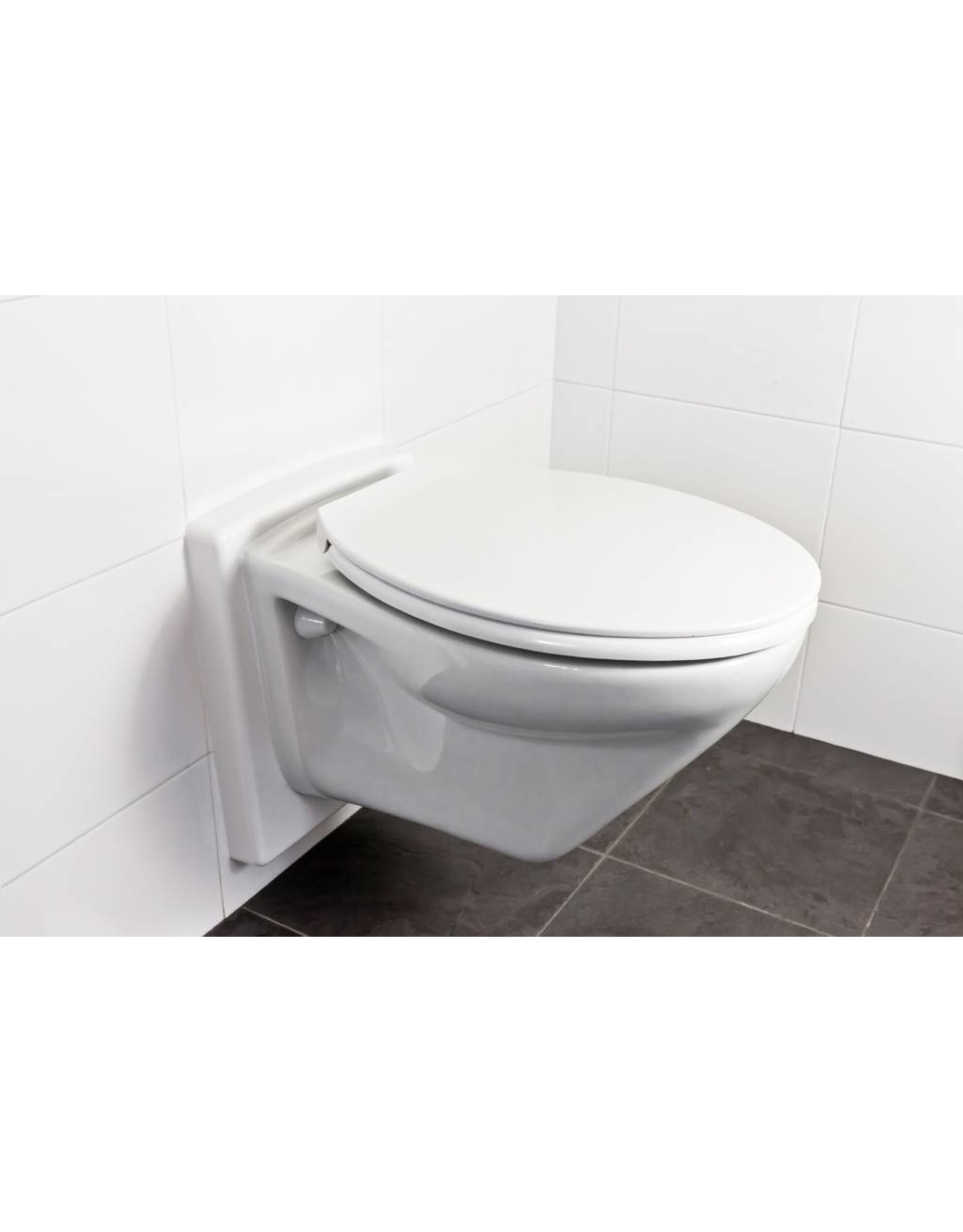 Inconsistent opbouwen Logisch ✓ ReleveleR - Hangend Toilet Verhoger | Zonder Hak- of Sloopwerk ✓ -  Toiletaanpassing.nl