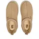 Uggs UGG Tazz Slipper Mustard Seed (W) Uggs UGG Tazz Slipper Mustard Seed (W)