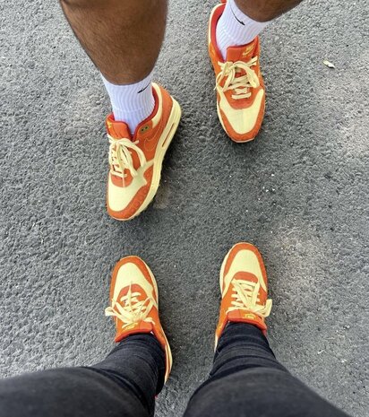 Nike Air Max 1 PRM Somos Familia DZ5352 847 Sneakerhype