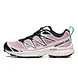 Salomon Salomon XT-6 Expanse Sandy Liang (W) Salomon Salomon XT-6 Expanse Sandy Liang (W)