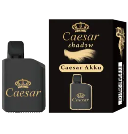 Caesar Akku / Basisgerät