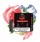 Caesar Pods | Watermelon Ice