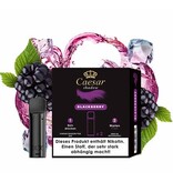 Caesar Pods | Blackberry