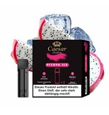 Caesar Pods | Pitaya Ice