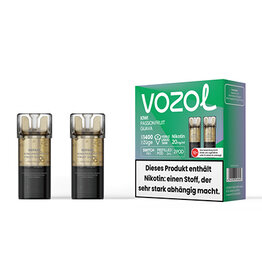 VOZOL Switch Pro Pods - Kiwi Passionfruit Guave -  2Pcs