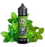 OWL Salt Longfill Spearmint Aroma 10 ml in 60 ml