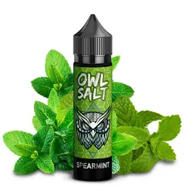 OWL Salt Longfill Spearmint Aroma 10 ml in 60 ml