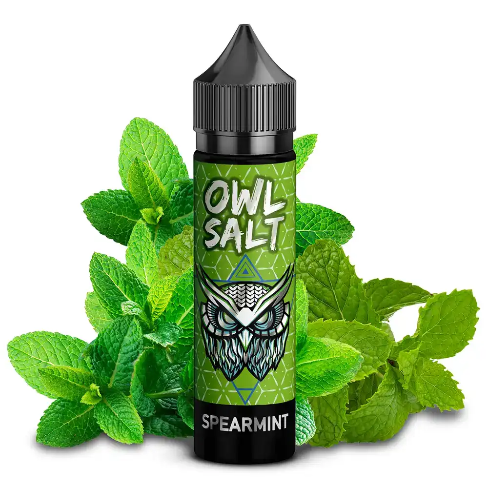 OWL Salt Longfill Spearmint Aroma 10 ml in 60 ml