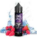 OWL Salt Longfill Berry Mix Ice Aroma 10 ml in 60 ml