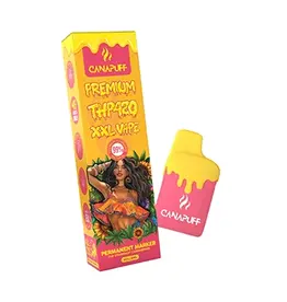 THP420 Vape - Permanent Marker
