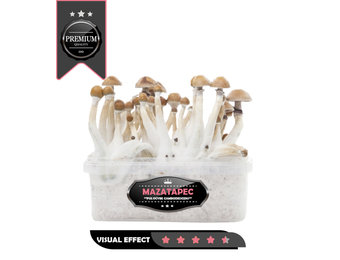 Mazatapec Premium  Mushroom Growkit