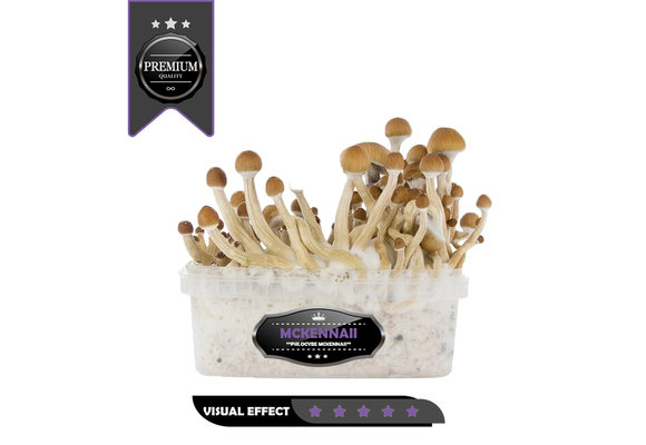 McKennaii Premium Mushroom GrowKit