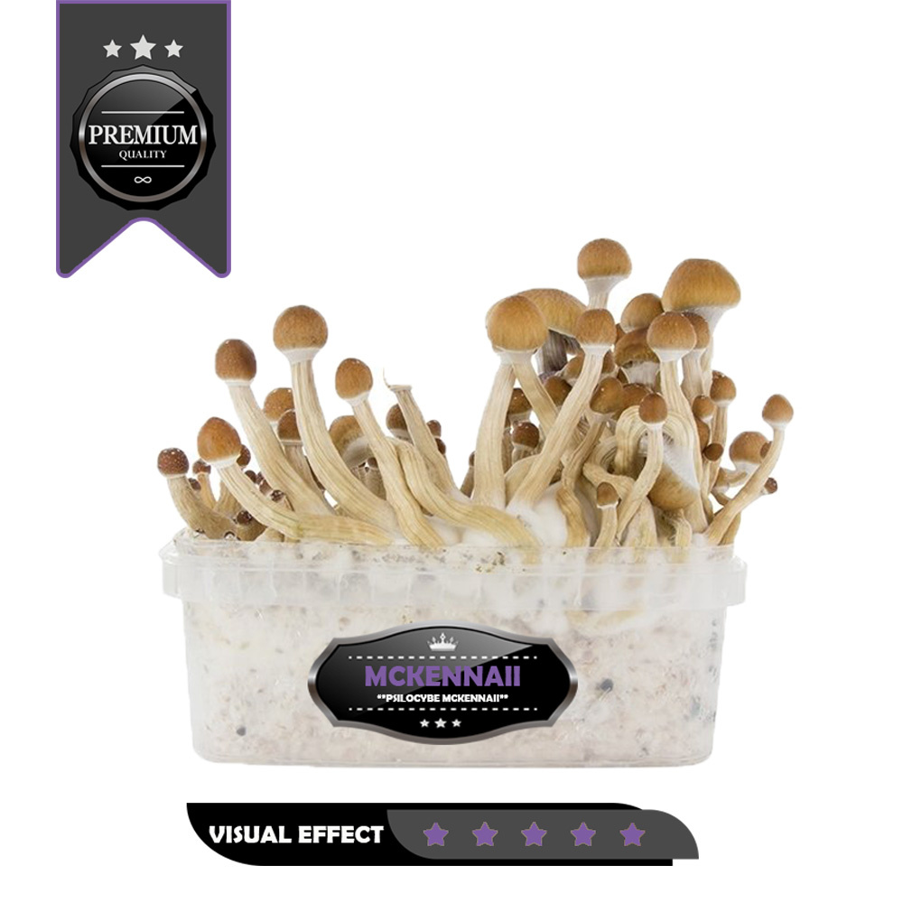 McKennaii Premium Mushroom GrowKit