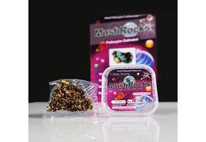 Mushrocks Mushroom Truffels