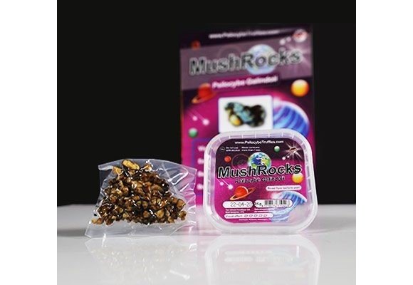 Mushrocks Mushroom Truffels