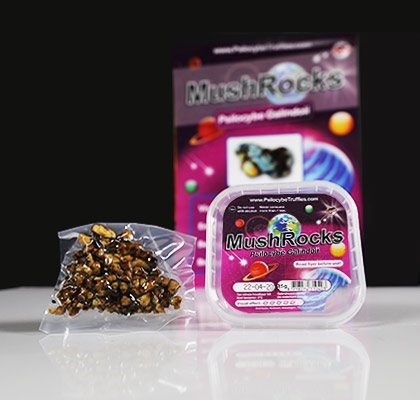 Mushrocks Mushroom Truffels