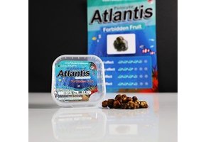 Atlantis Mushroom Truffels