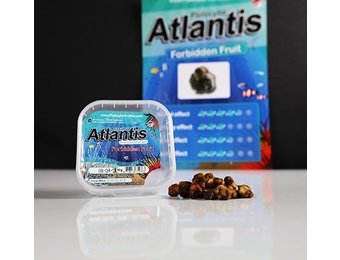 Atlantis Mushroom Truffles