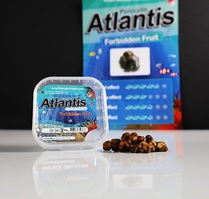 Atlantis Mushroom Truffels