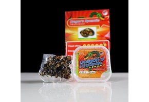 Dragon Dynamite Mushroom Truffels