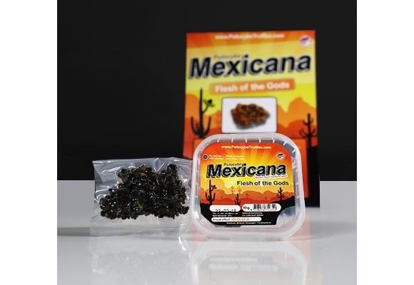Mexicana Mushroom Truffels
