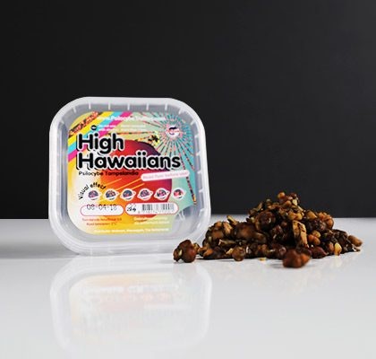 High Hawaiians Mushroom Truffles