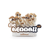 McKennaii 100% mycelium Mushroom Growkit
