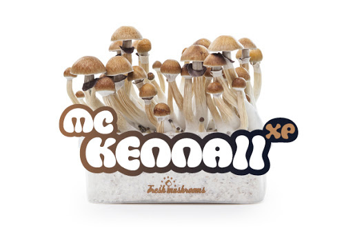 McKennaii 100% mycelium  Paddo kweekset