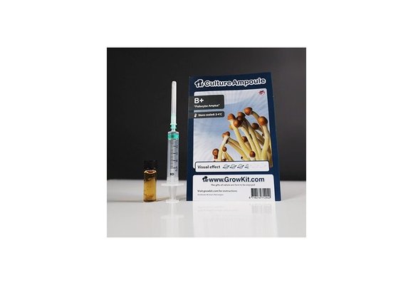 B +  Culture Ampoule Set
